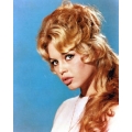 Brigitte Bardot Photo